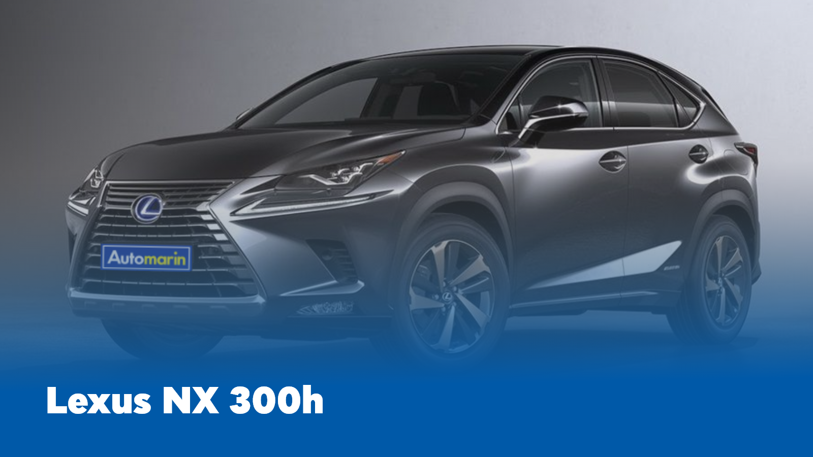 Automarin - lexus-nx-300-h