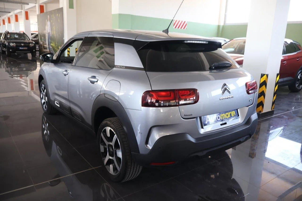 Citroen C4 Cactus - View model 6