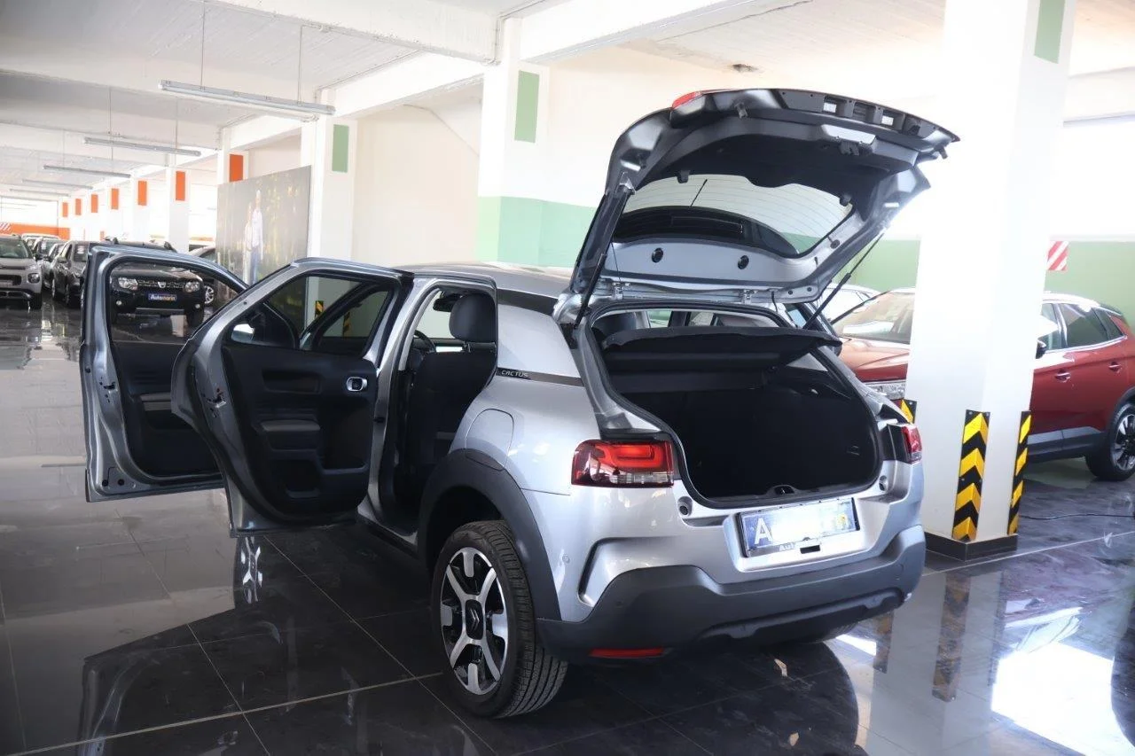 Citroen C4 Cactus - View model 9