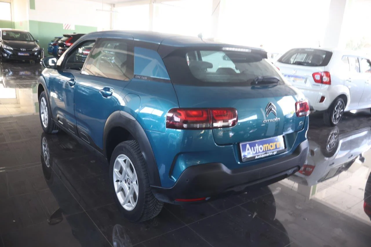 Citroen C4 Cactus - View model 6
