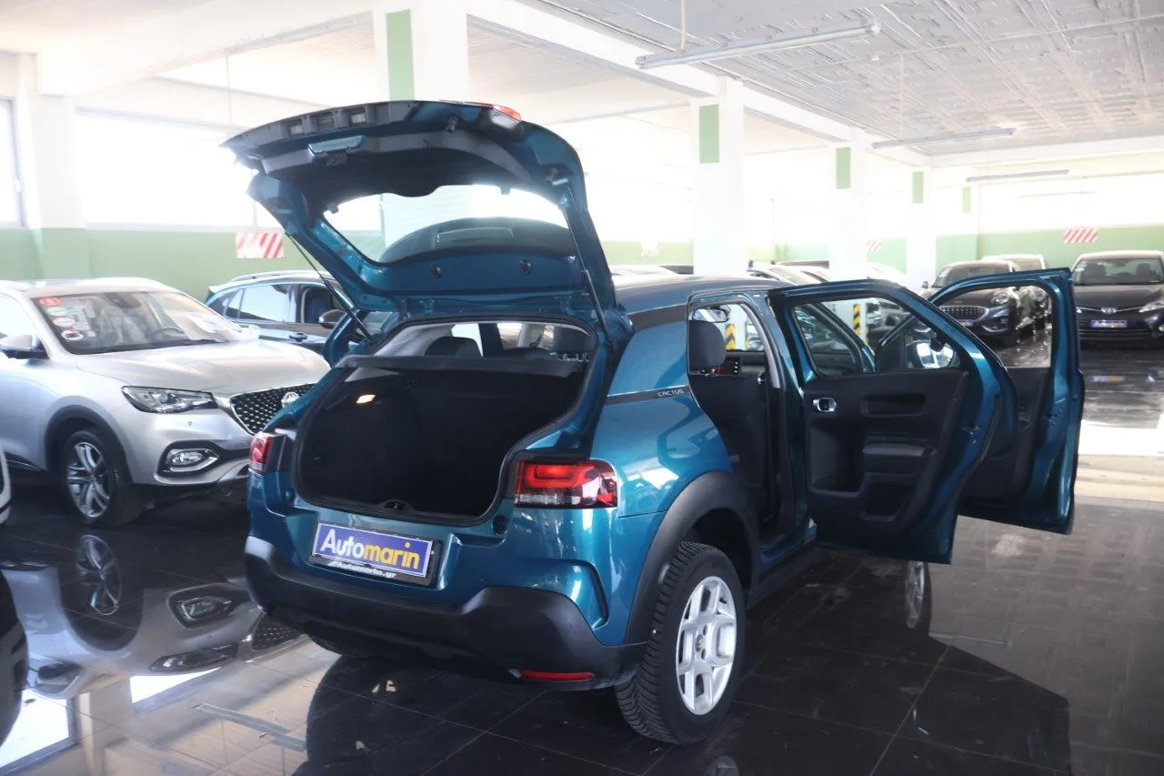 Citroen C4 Cactus - View model 8