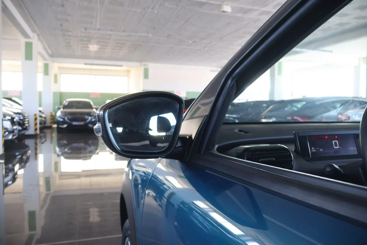 Citroen C4 Cactus - View model 15