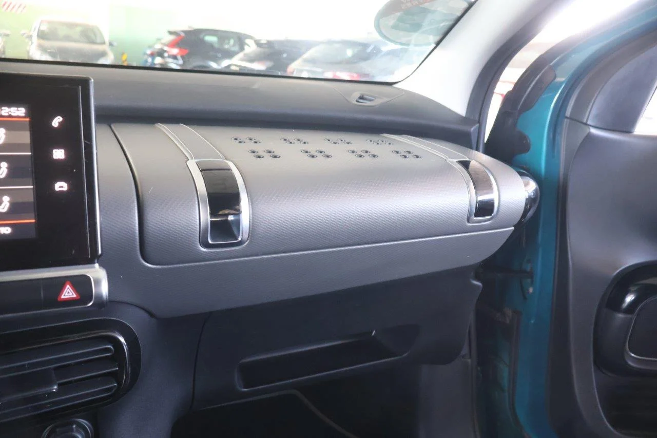 Citroen C4 Cactus - View model 30