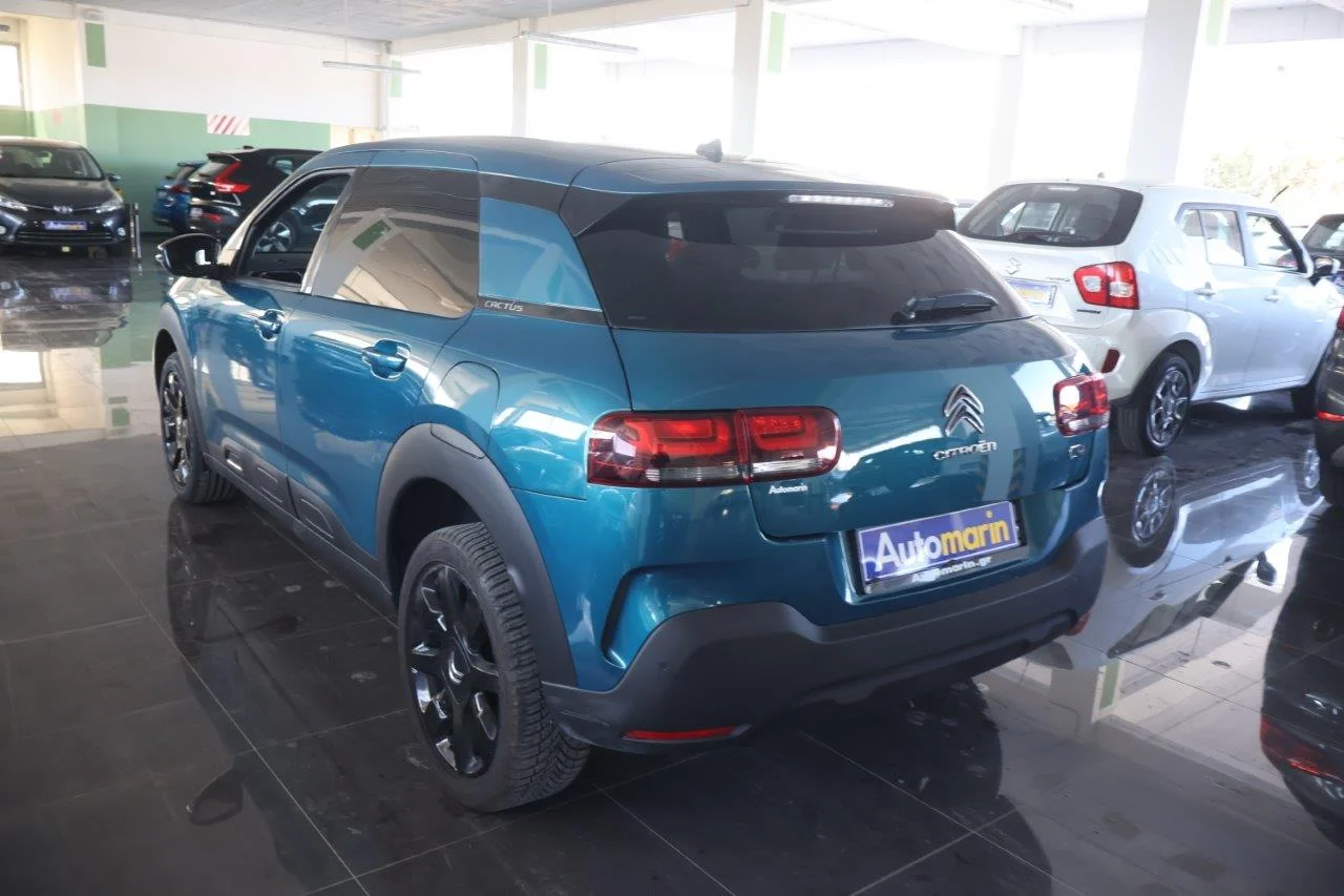 Citroen C4 Cactus - View model 6