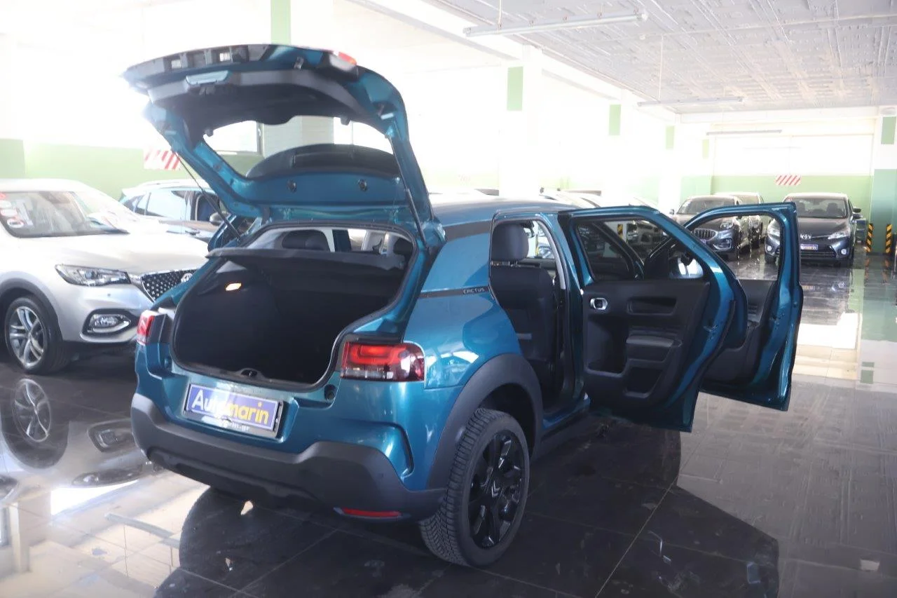 Citroen C4 Cactus - View model 9