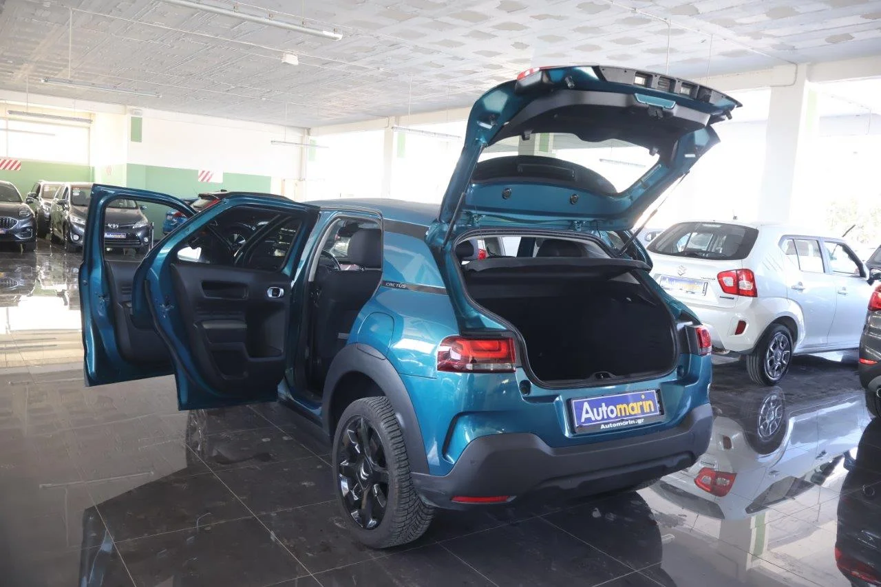 Citroen C4 Cactus - View model 11