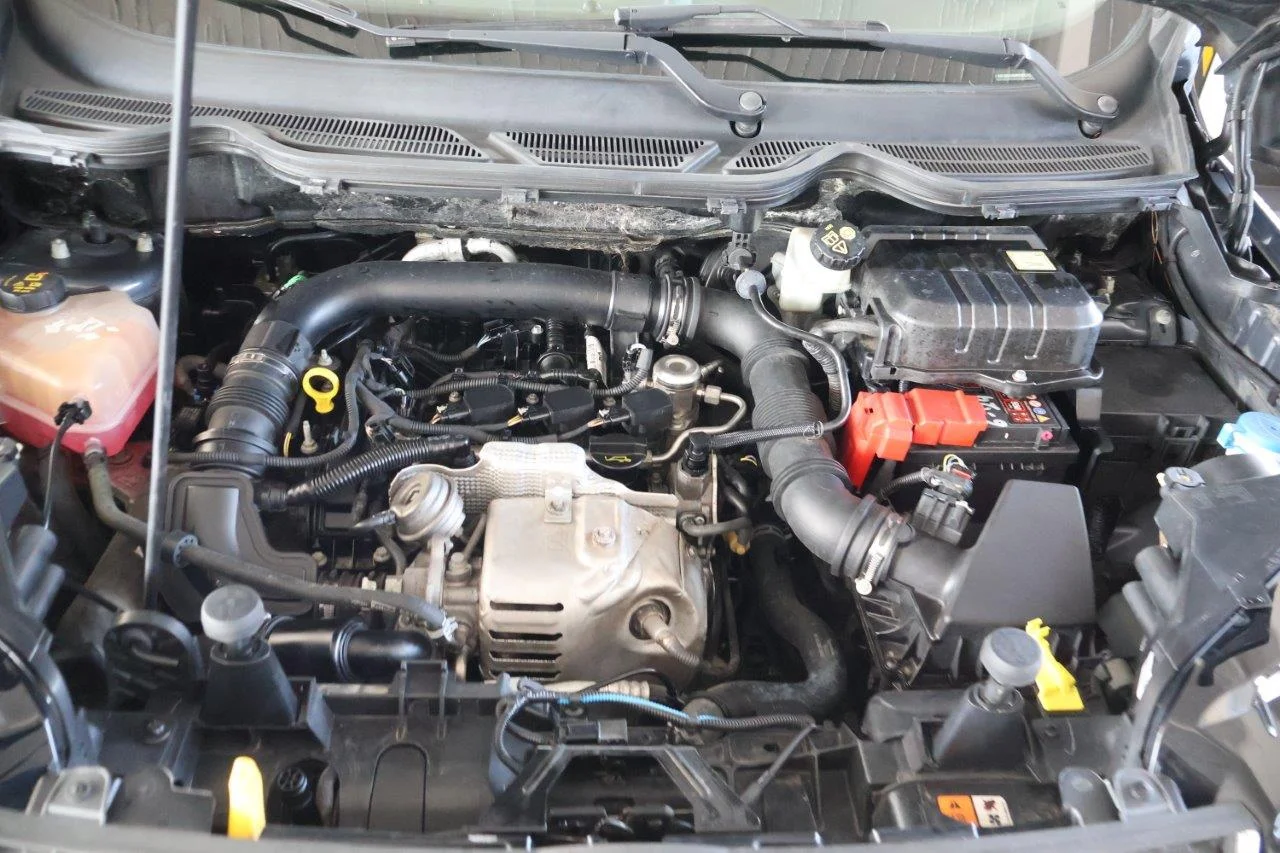 Ford EcoSport - View model 41
