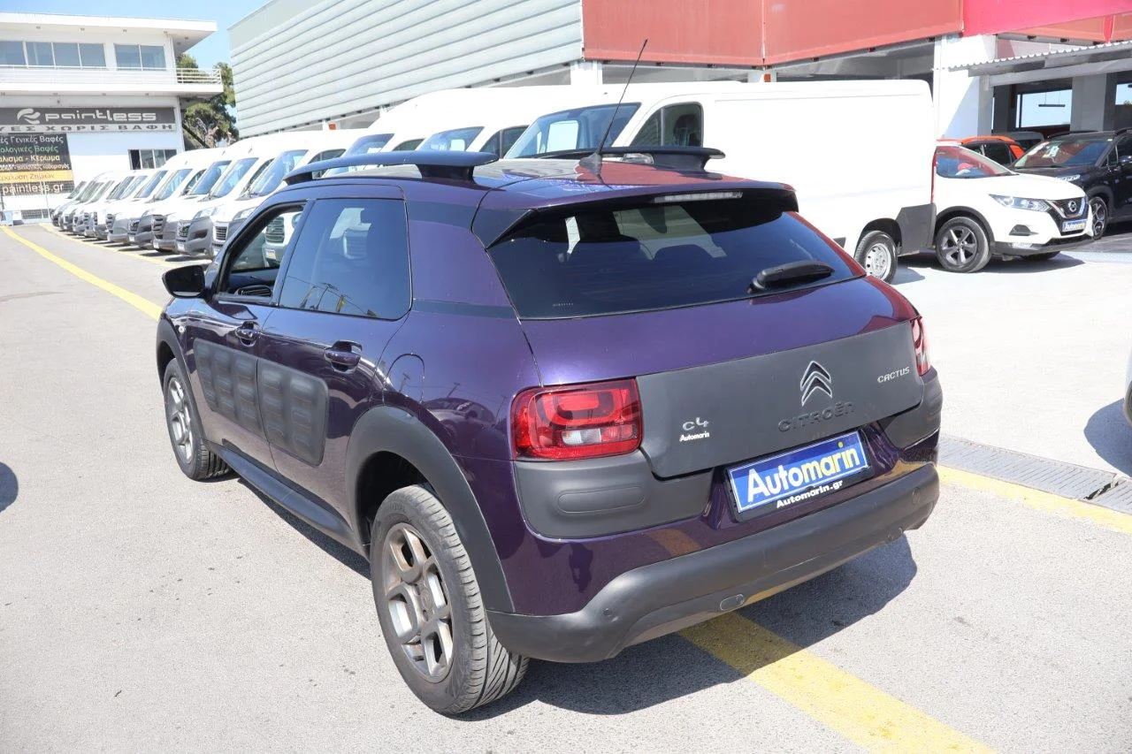 Citroen C4 Cactus - View model 6