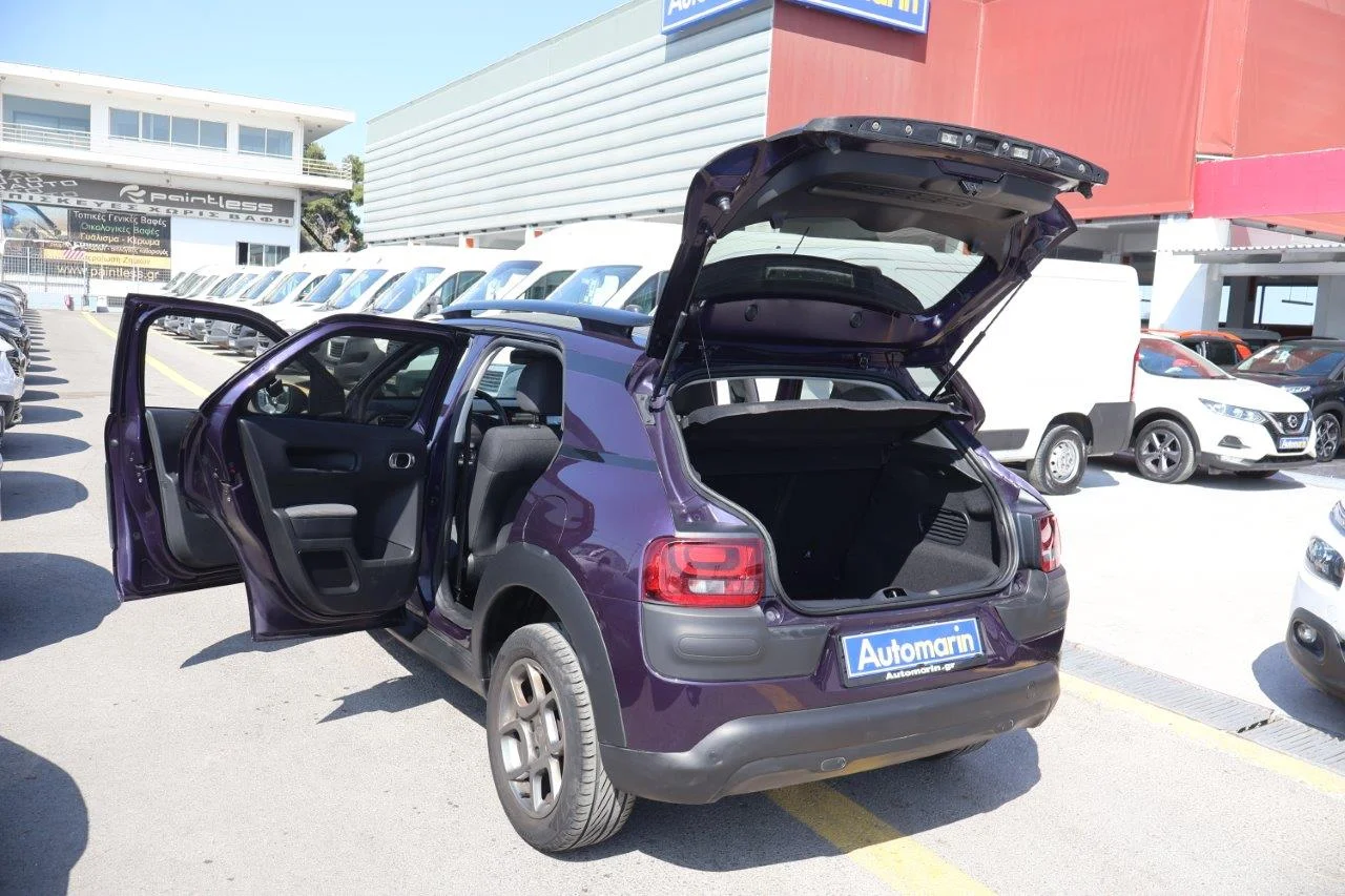 Citroen C4 Cactus - View model 12