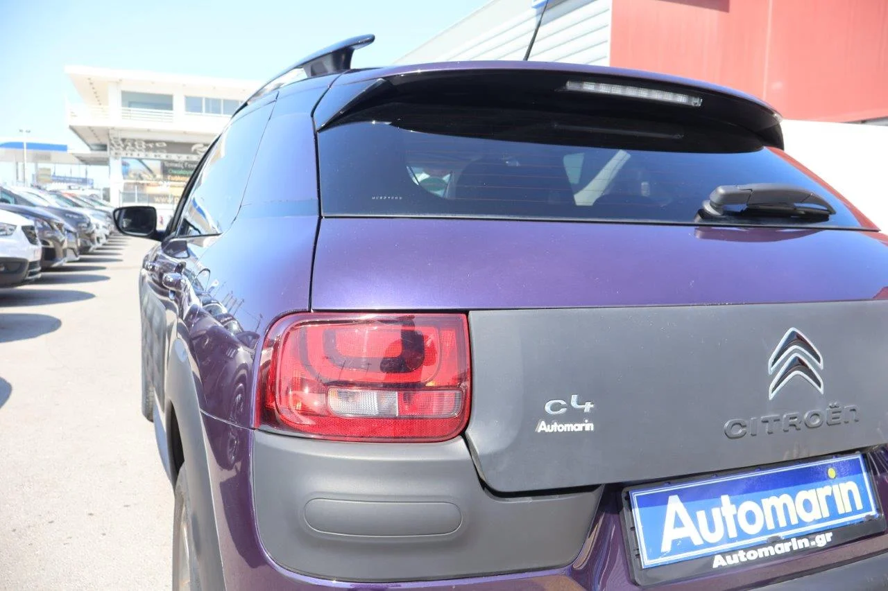 Citroen C4 Cactus - View model 15