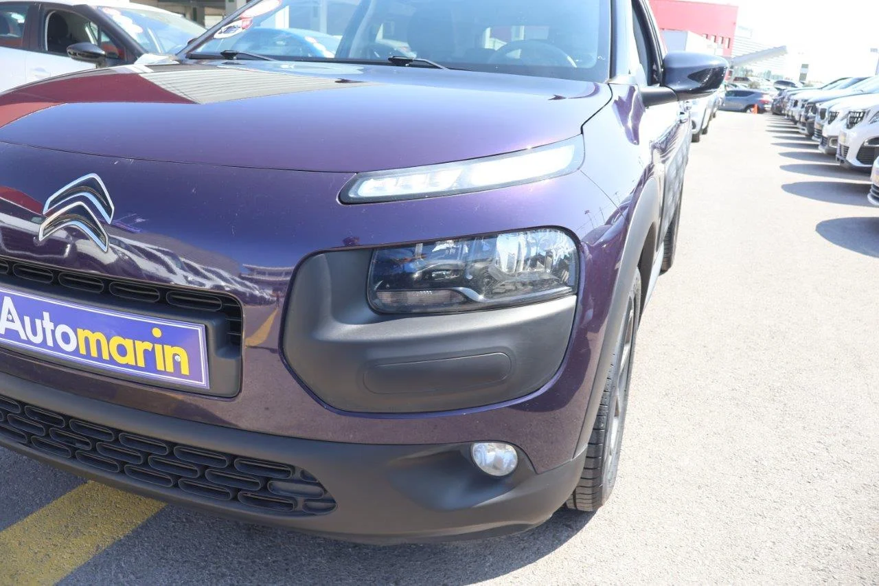 Citroen C4 Cactus - View model 19