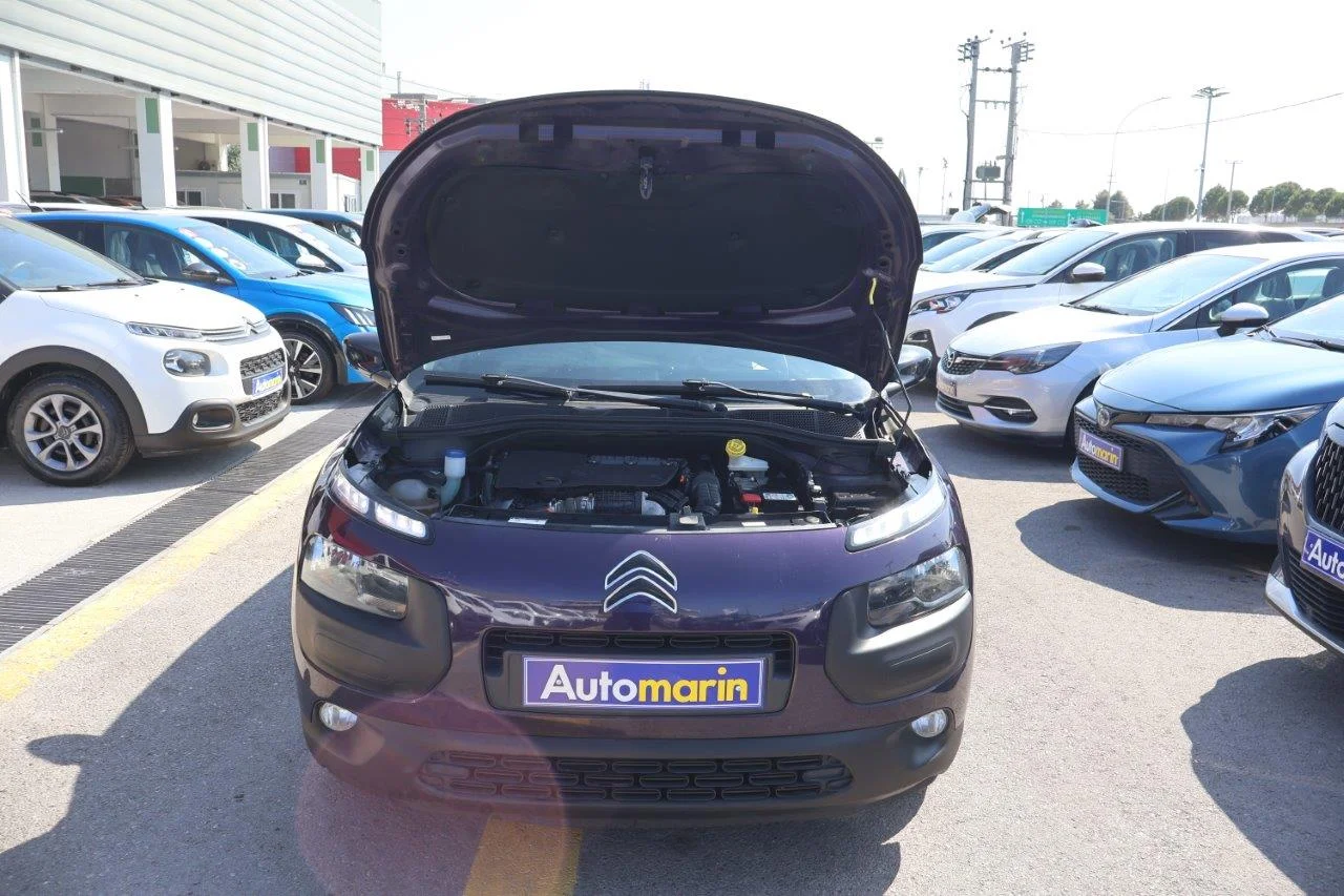 Citroen C4 Cactus - View model 22