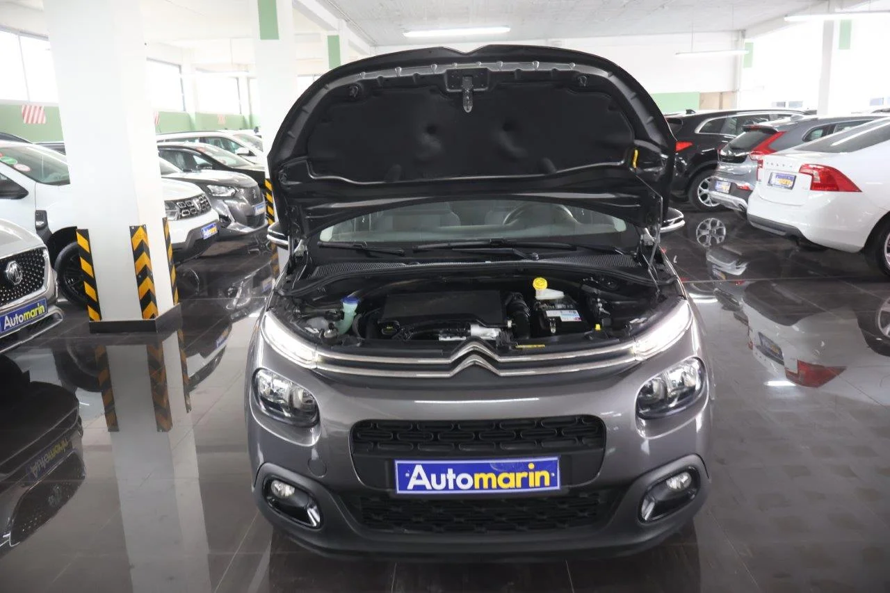 Citroen C3 - View model 20