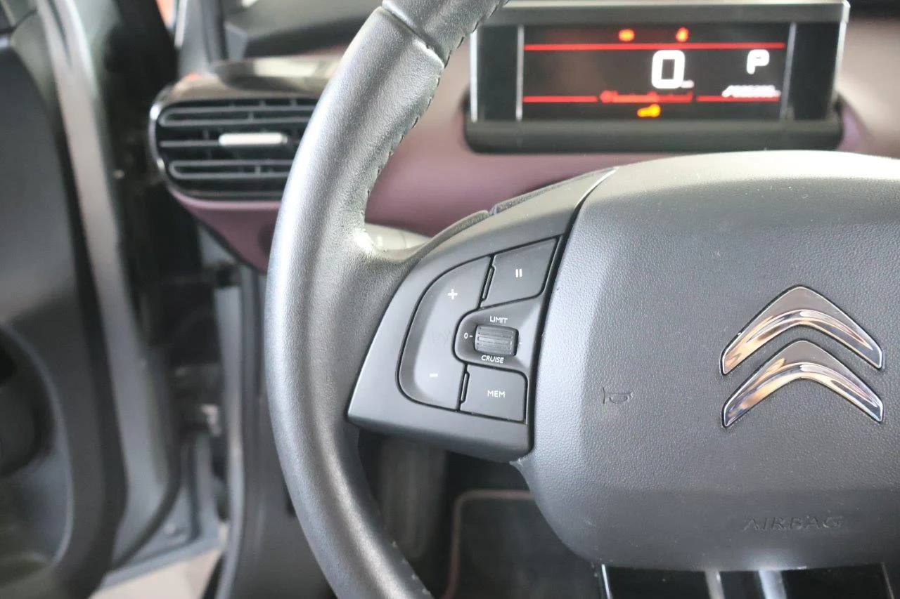 Citroen C4 Cactus - View model 22