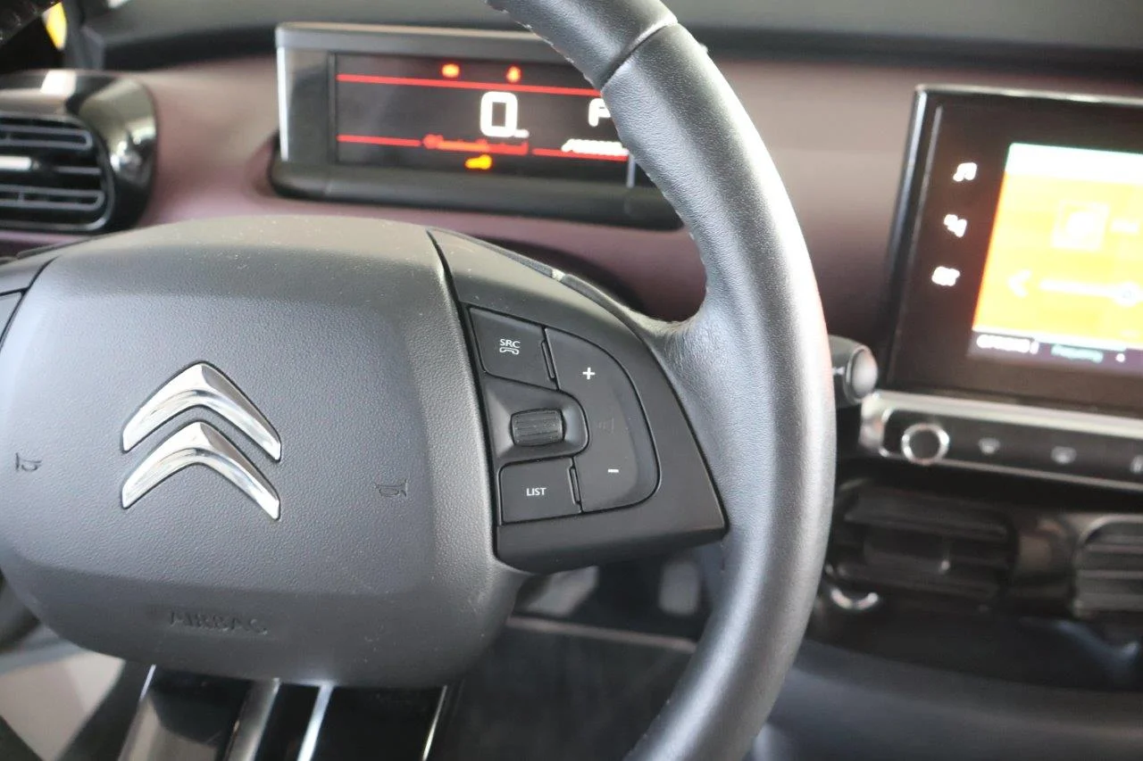 Citroen C4 Cactus - View model 23
