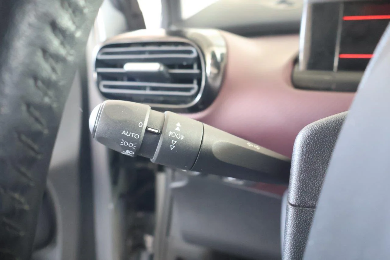 Citroen C4 Cactus - View model 33