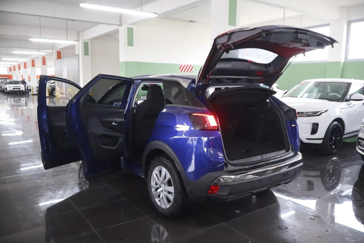 Peugeot 3008 - View model 8