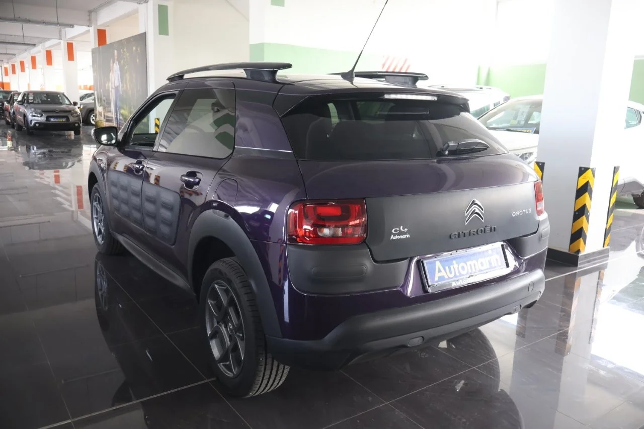 Citroen C4 Cactus - View model 6