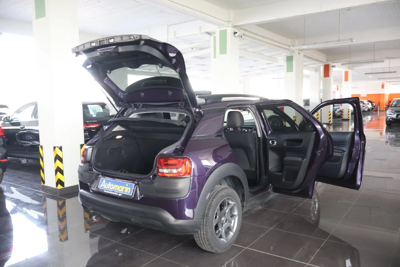 Citroen C4 Cactus - View model 7