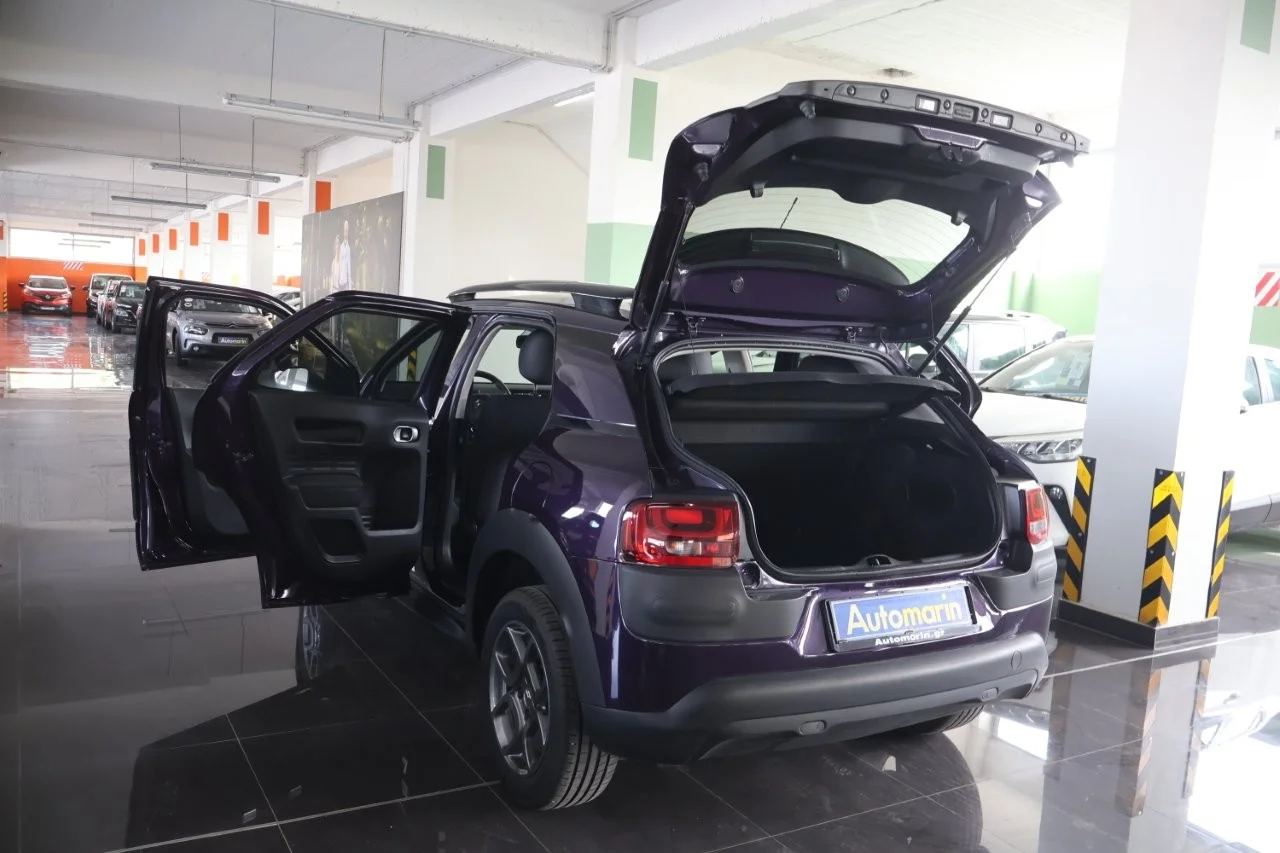 Citroen C4 Cactus - View model 9