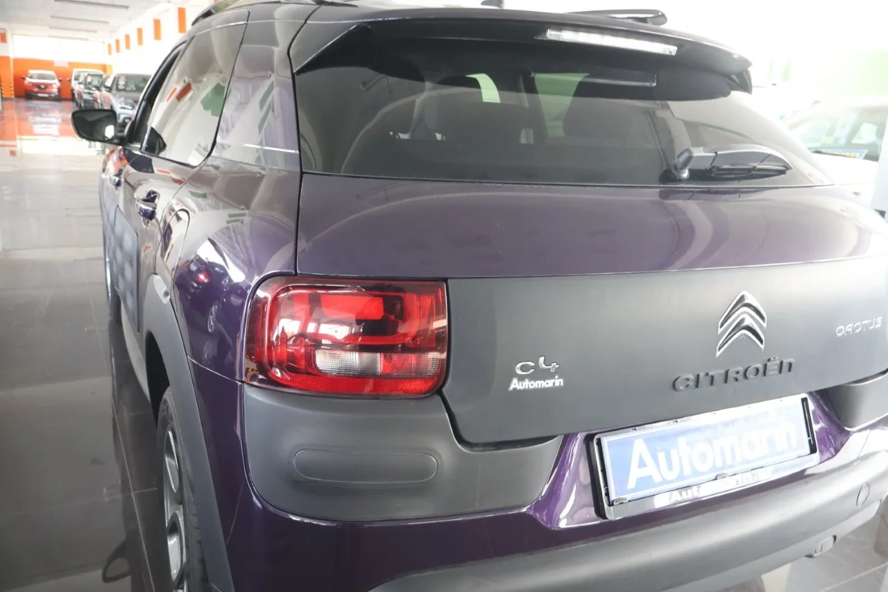 Citroen C4 Cactus - View model 11