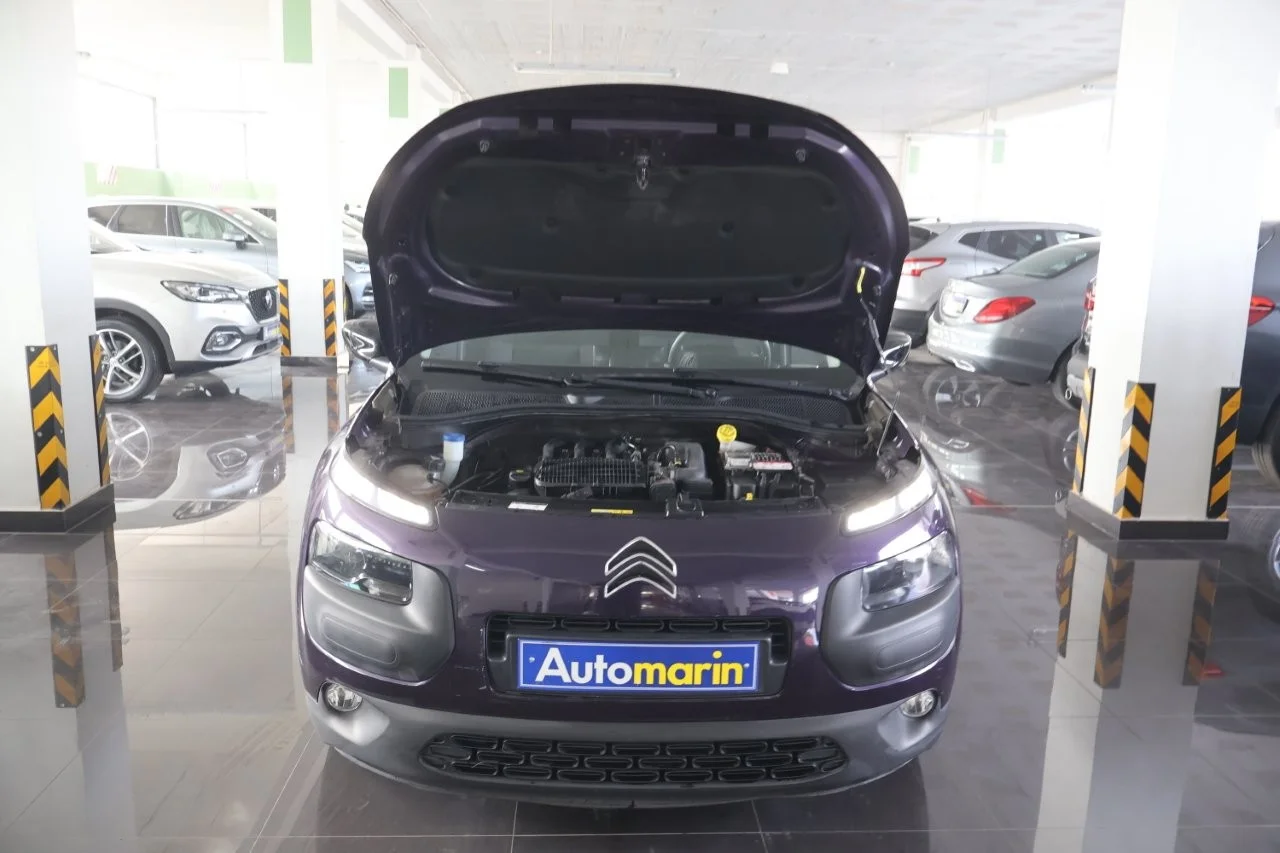 Citroen C4 Cactus - View model 18