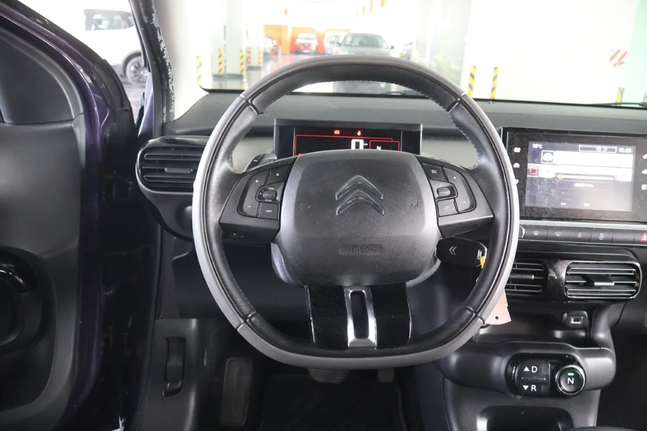 Citroen C4 Cactus - View model 20