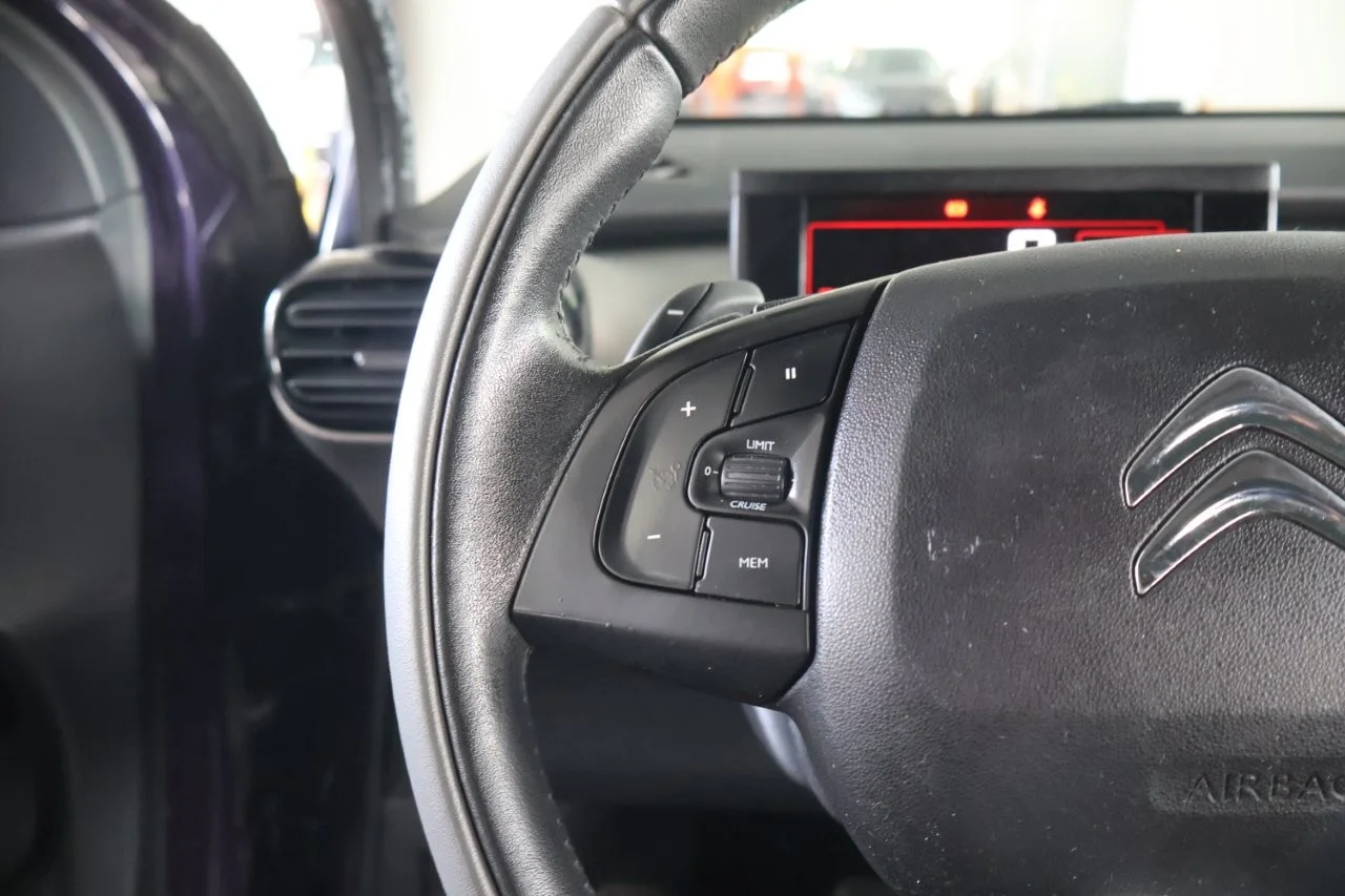 Citroen C4 Cactus - View model 21