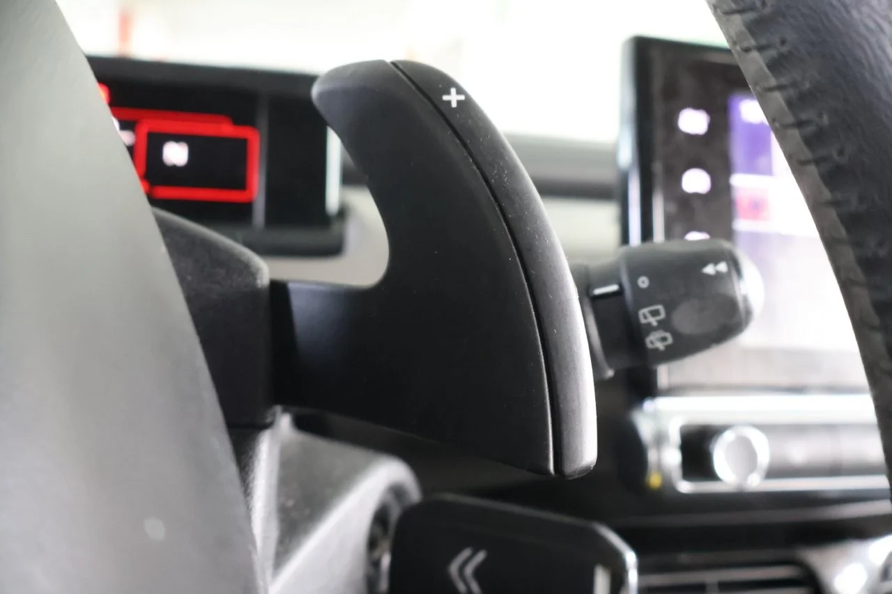 Citroen C4 Cactus - View model 29