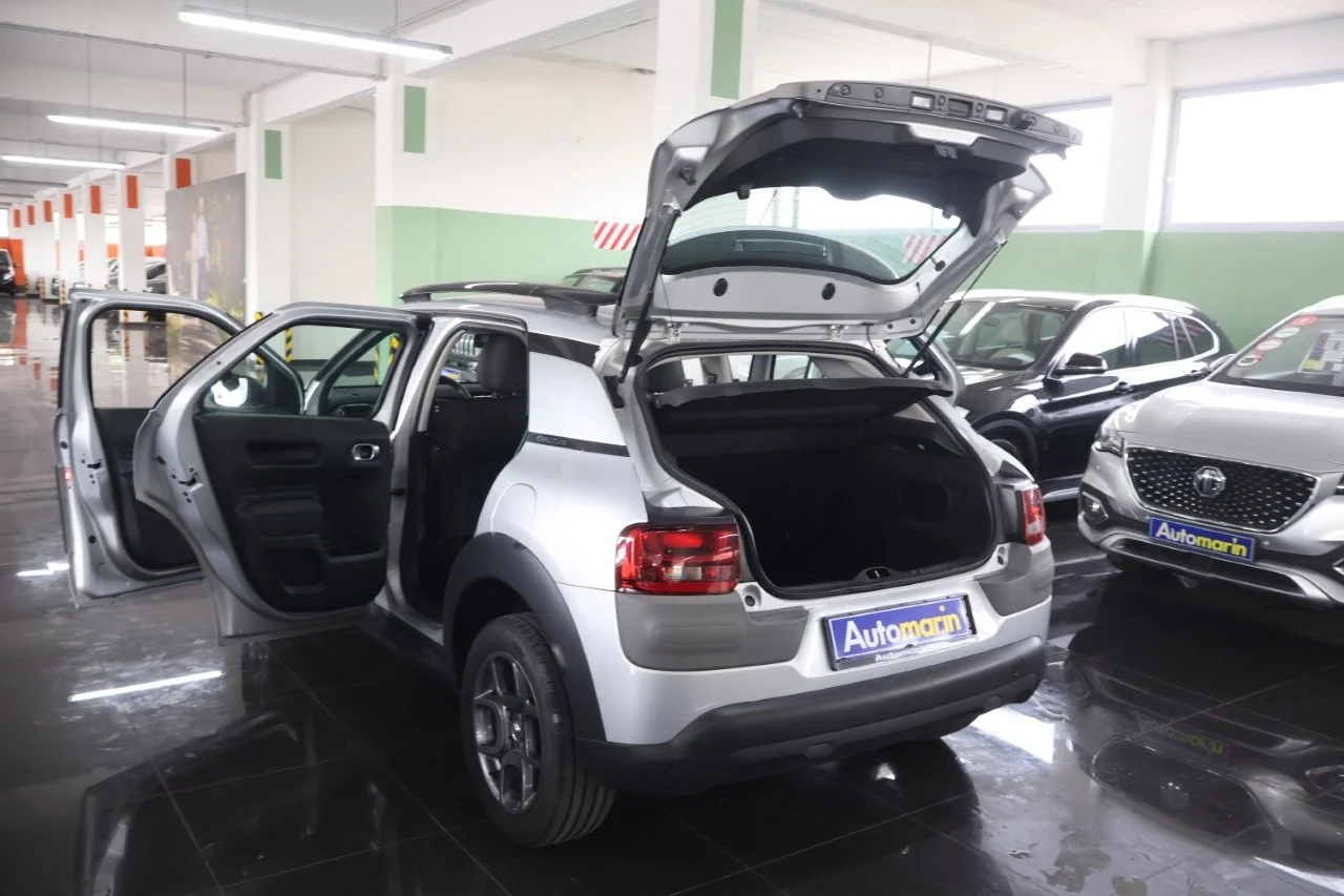 Citroen C4 Cactus - View model 9