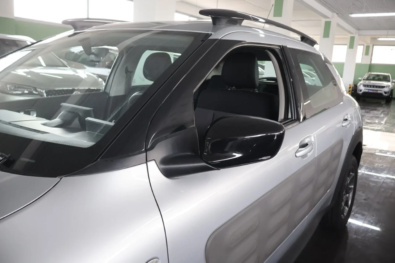 Citroen C4 Cactus - View model 13