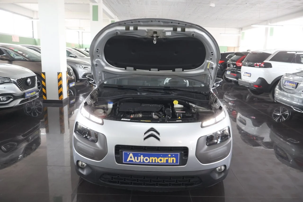 Citroen C4 Cactus - View model 18