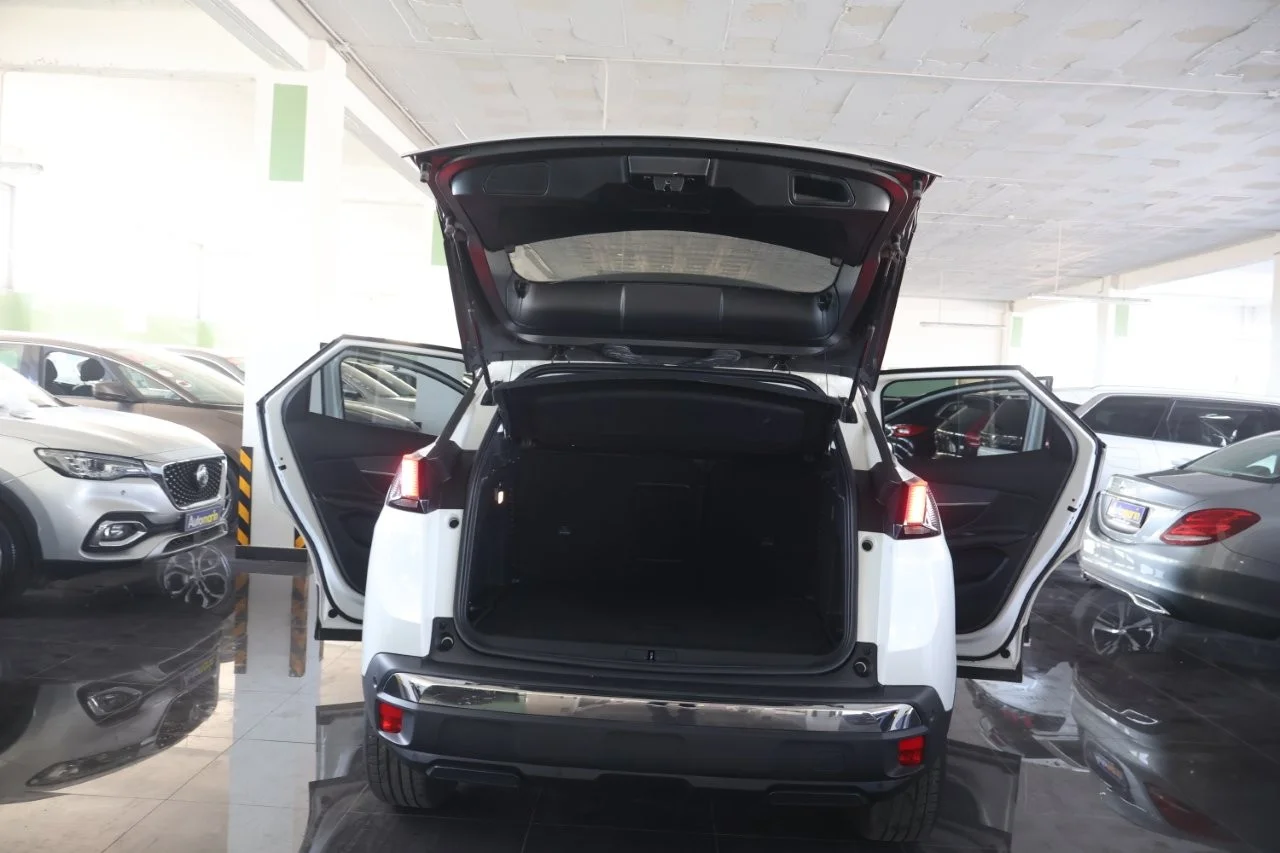Peugeot 3008 - View model 8
