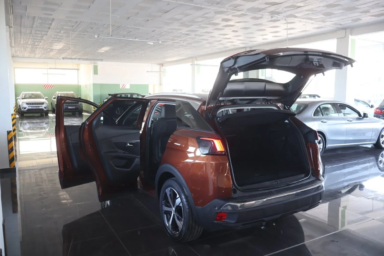 Peugeot 3008 - View model 8