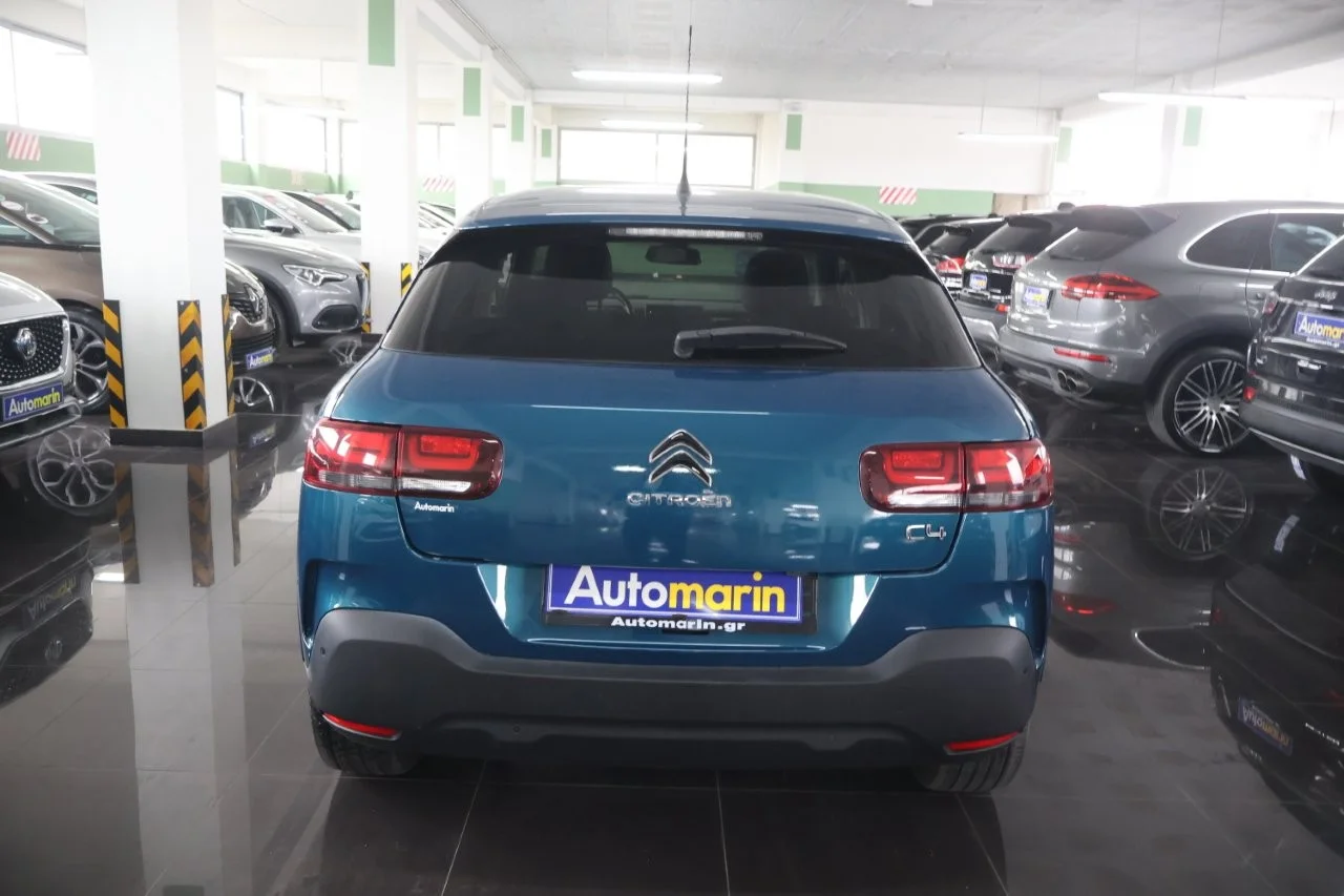 Citroen C4 Cactus - View model 5