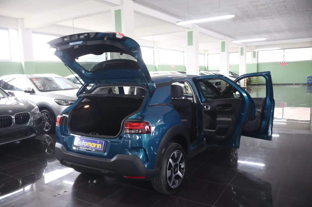 Citroen C4 Cactus - View model 7