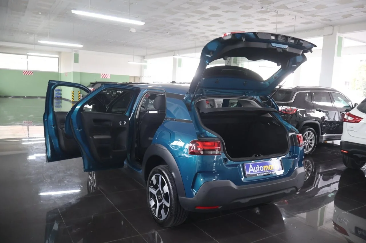 Citroen C4 Cactus - View model 9