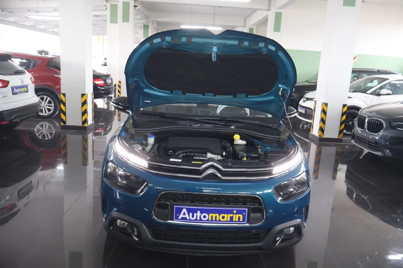 Citroen C4 Cactus - View model 17