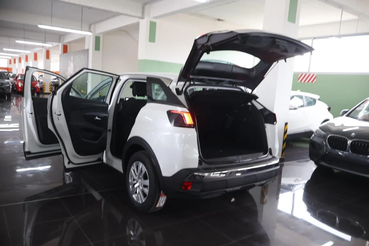 Peugeot 3008 - View model 9