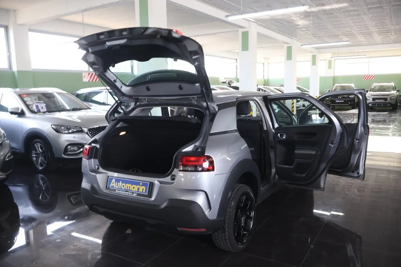 Citroen C4 Cactus - View model 14