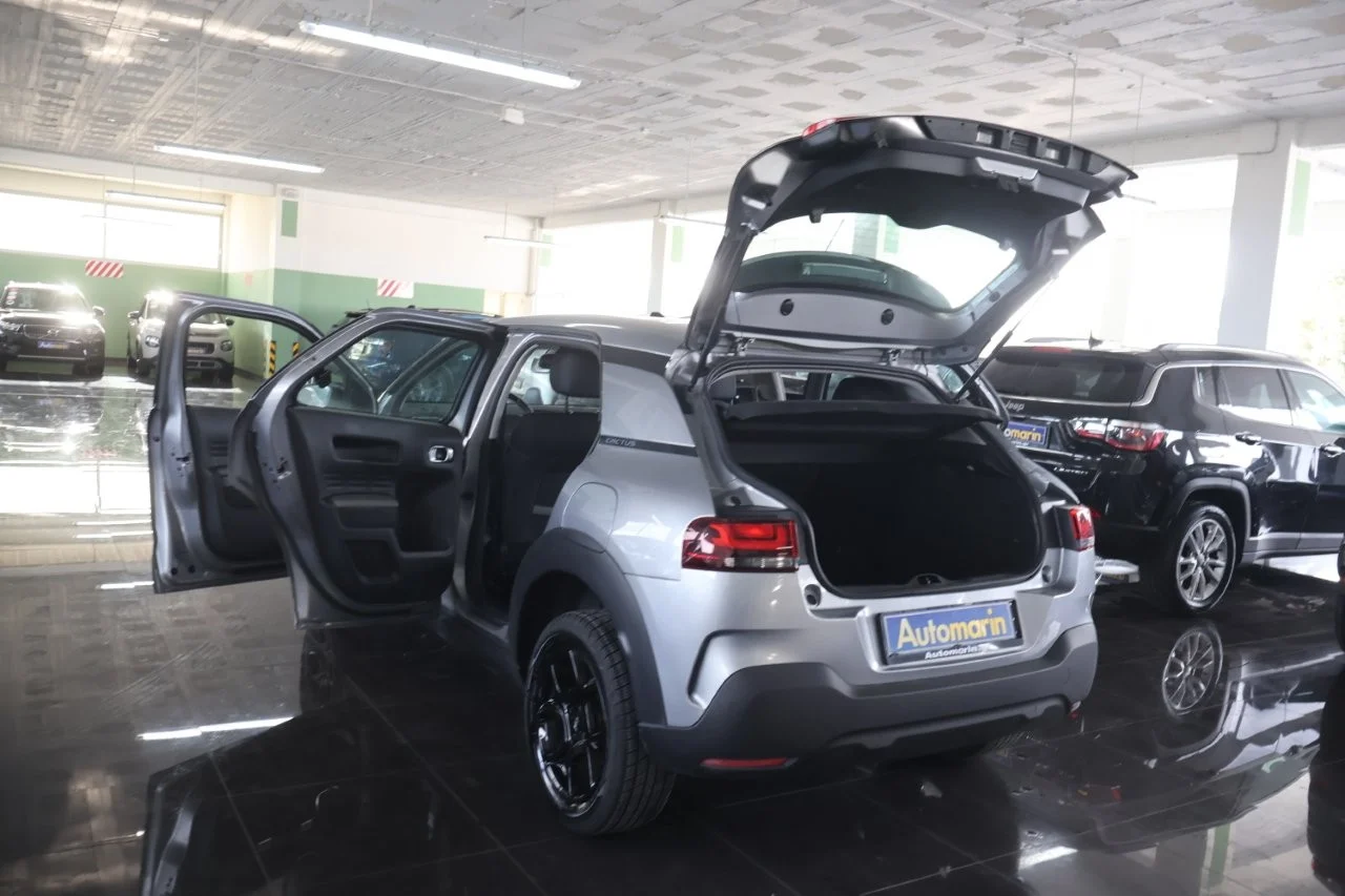 Citroen C4 Cactus - View model 18