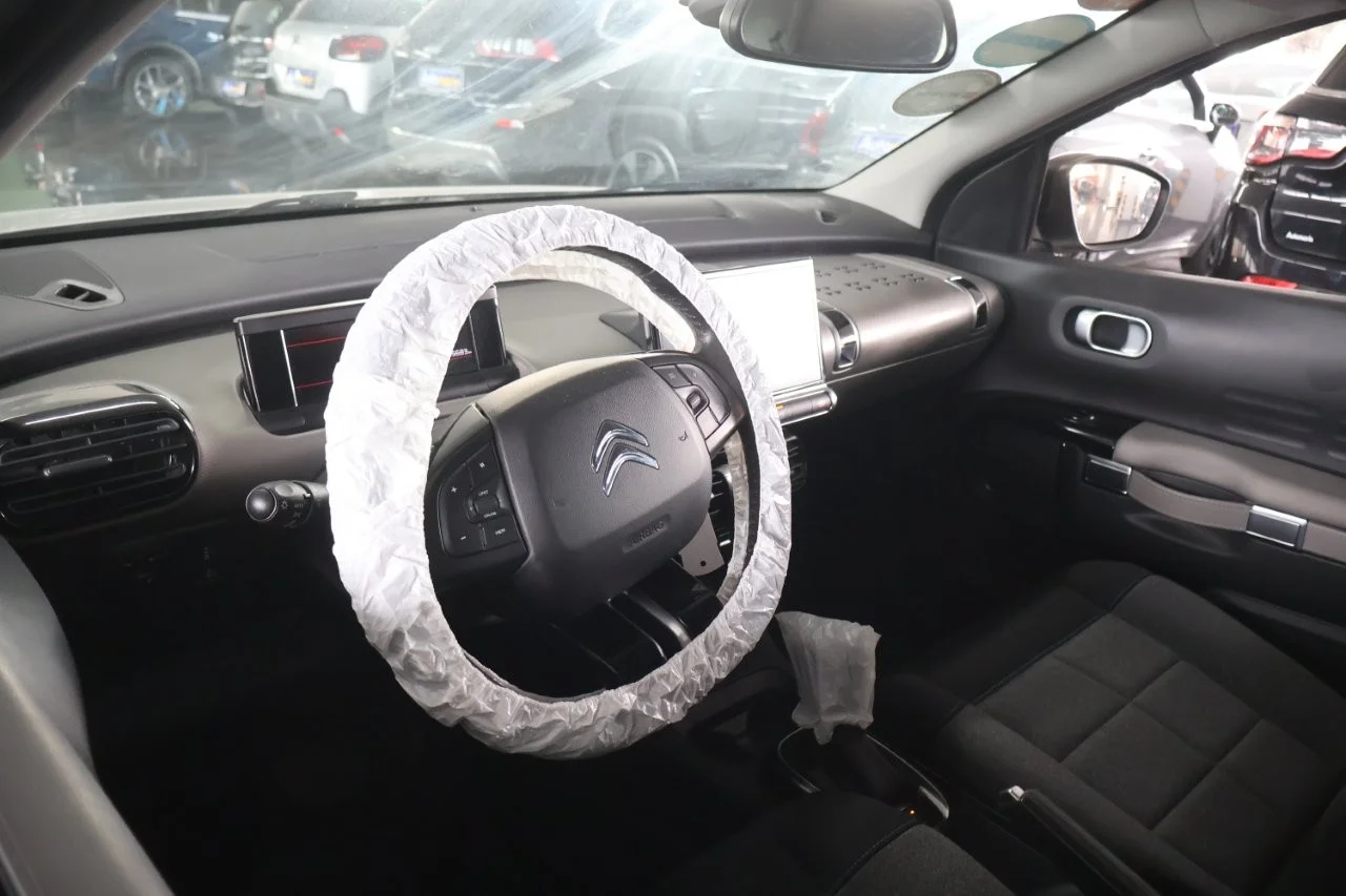 Citroen C4 Cactus - View model 41