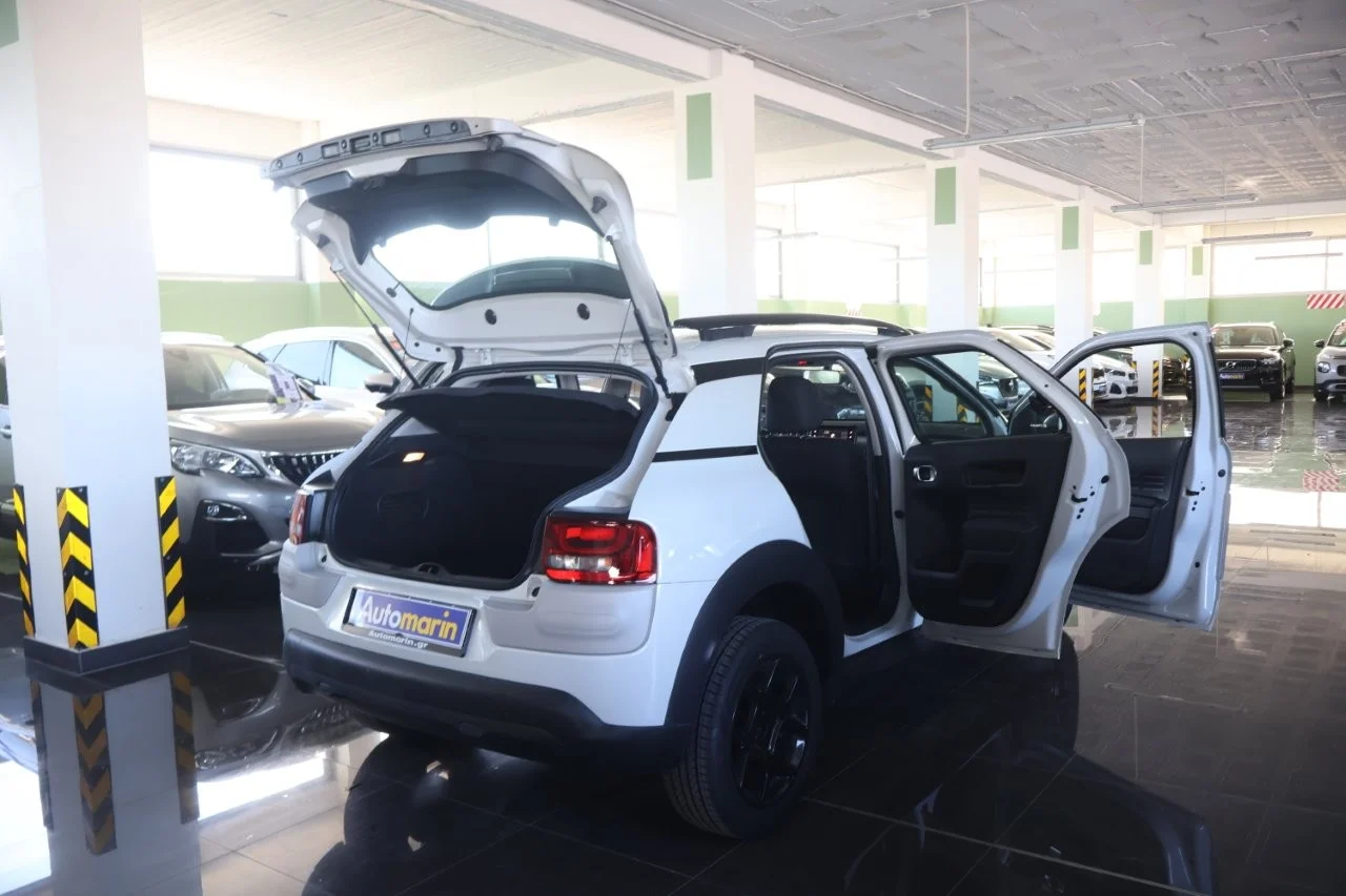 Citroen C4 Cactus - View model 7