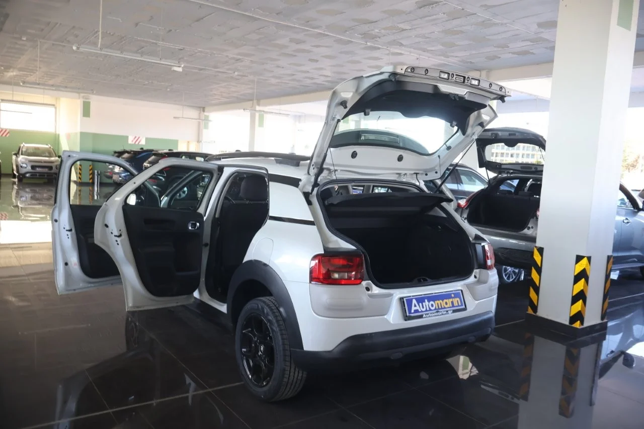 Citroen C4 Cactus - View model 19