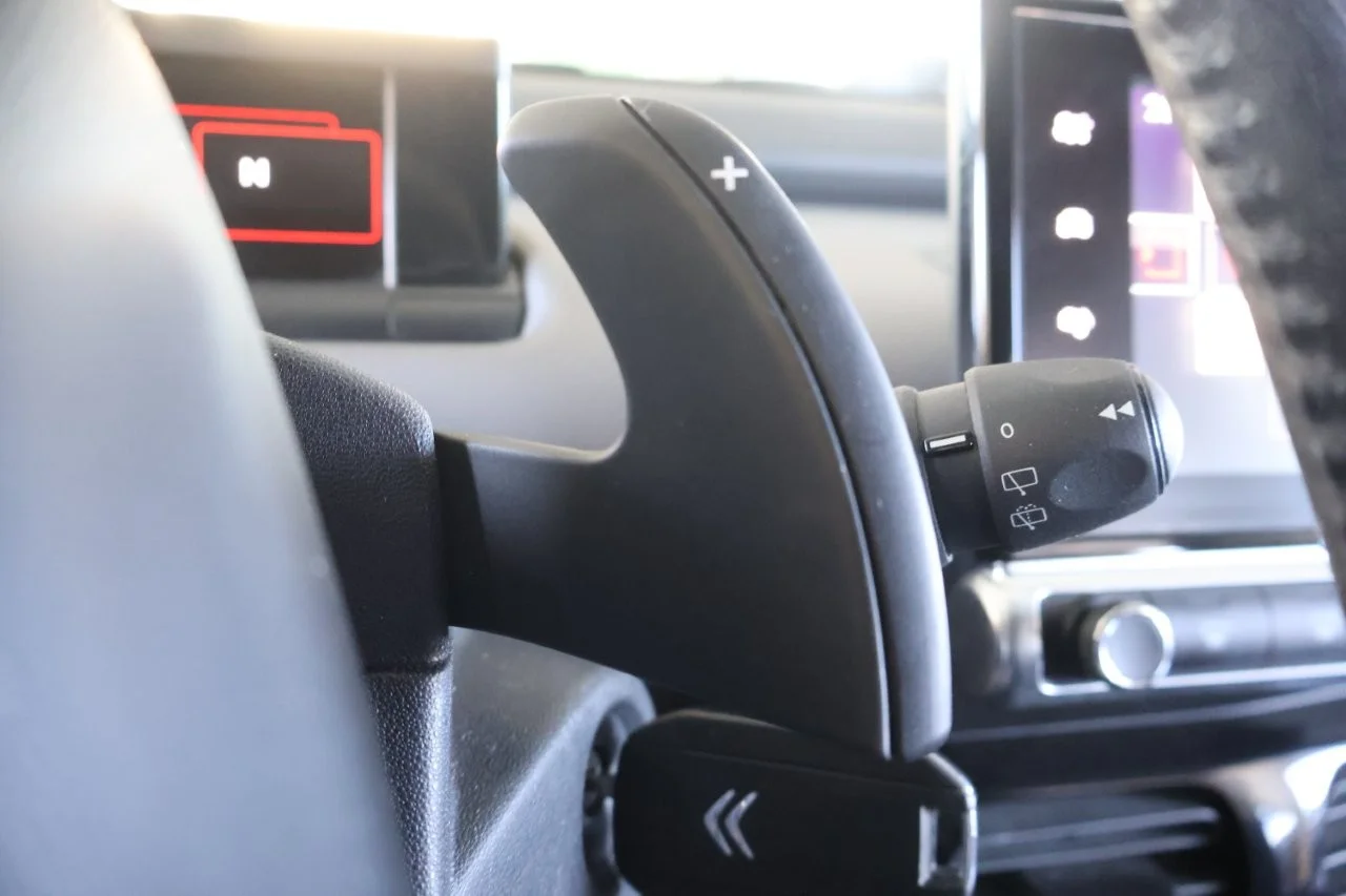 Citroen C4 Cactus - View model 29