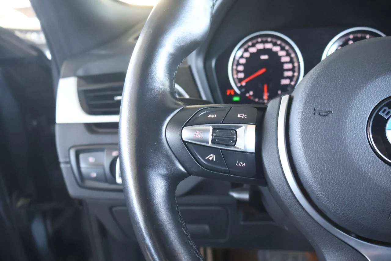 Bmw X2 - View model 23