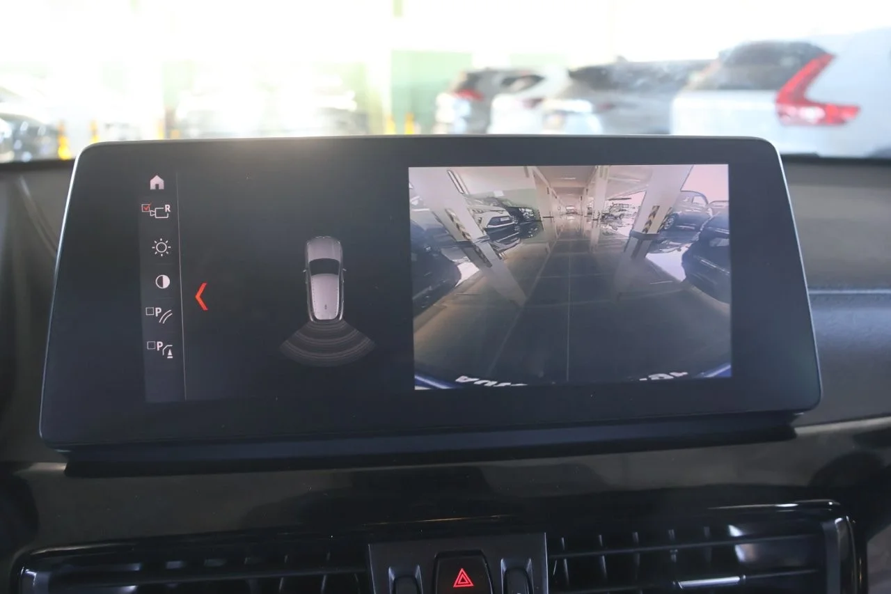 Bmw X2 - View model 38