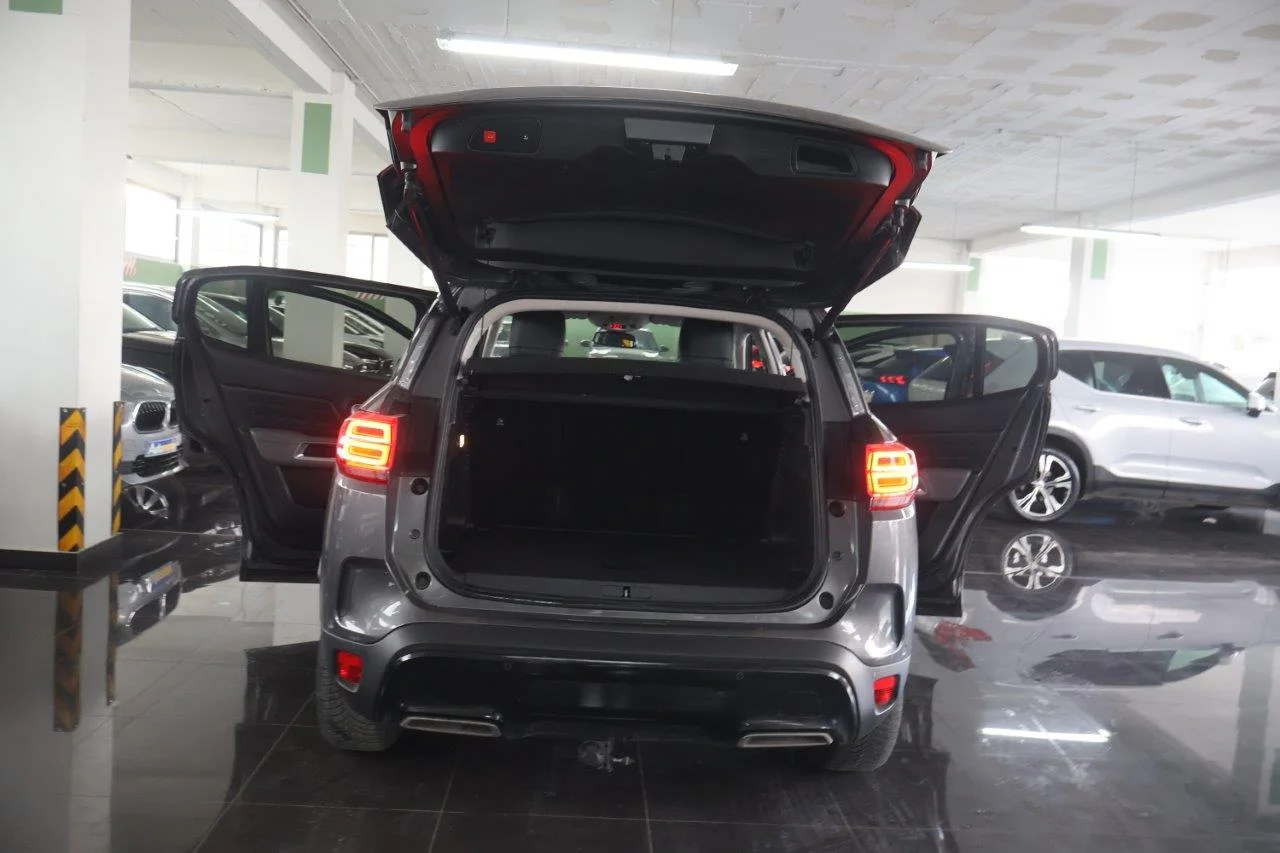 Citroen C5 Aircross - View model 5