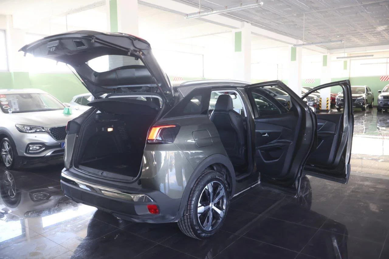 Peugeot 3008 - View model 7