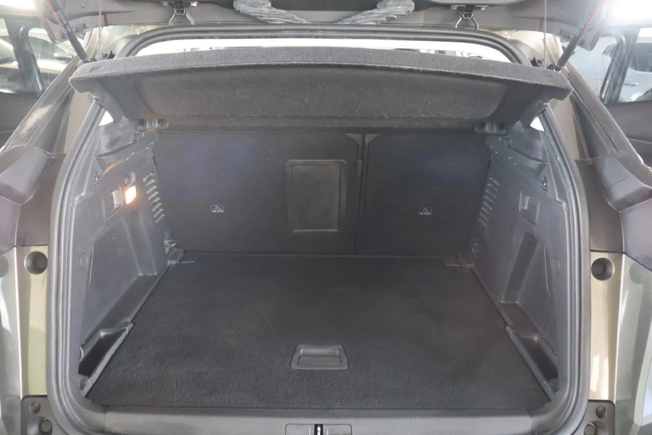 Peugeot 3008 - View model 41